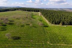 Rare investment opportunity in Southern Italy
