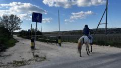 Rare investment opportunity in Southern Italy