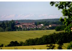 Lovely Farmhouse in South West France