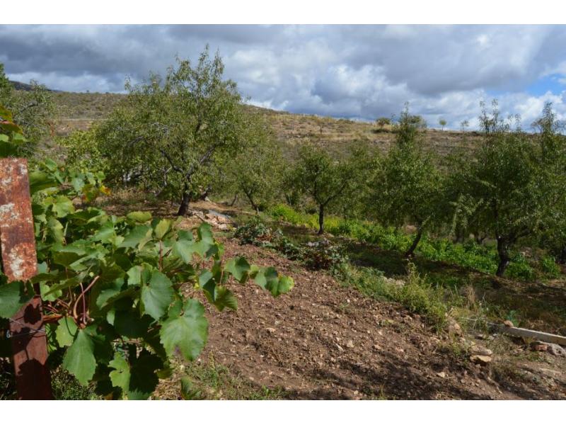 Casa de campo en Alpujarra de Granada Yegen » Property Sales,Rent