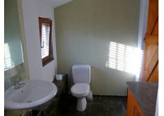 Unique renovated Finca , sunny, open view , fruit trees ; your own mountainside