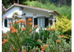 Amazing Family House (mill)