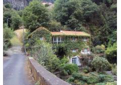 Amazing Family House (mill)