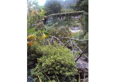 Amazing Family House (mill)