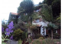 Amazing Family House (mill)
