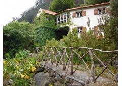 Amazing Family House (mill)