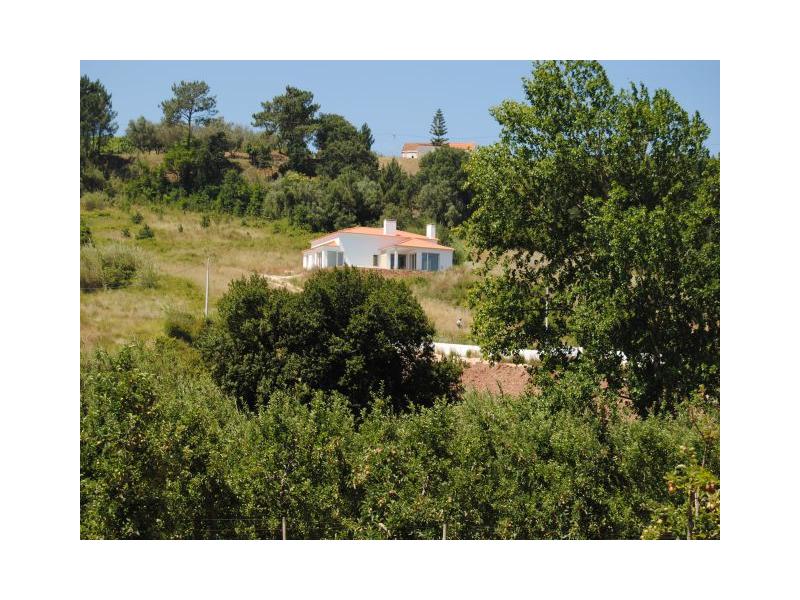 Amazing House in the countryside withswimming pool Caldas da Rainha