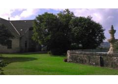 Villa, vineyard and kiwi plantation