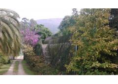 Villa, vineyard and kiwi plantation