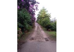 Villa, vineyard and kiwi plantation