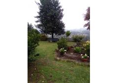 Villa, vineyard and kiwi plantation