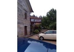 Villa, vineyard and kiwi plantation