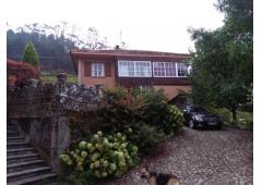 Villa, vineyard and kiwi plantation