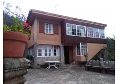Villa, vineyard and kiwi plantation