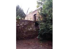 Villa, vineyard and kiwi plantation