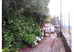 Villa, vineyard and kiwi plantation