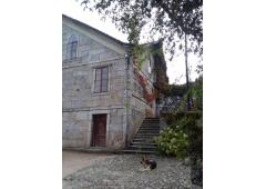 Villa, vineyard and kiwi plantation