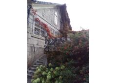 Villa, vineyard and kiwi plantation