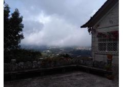 Villa, vineyard and kiwi plantation