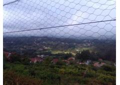 Villa, vineyard and kiwi plantation