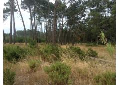Property in Portugal in the Southwest Coast near the sea/Malhao beach