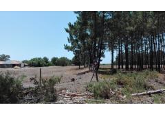 Property in Portugal in the Southwest Coast near the sea/Malhao beach