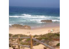 Property in Portugal in the Southwest Coast near the sea/Malhao beach