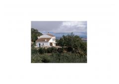 Villa in a 25,000 m2 plot with pool and 80 centenarian olive trees