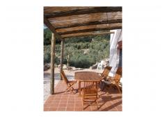 Villa in a 25,000 m2 plot with pool and 80 centenarian olive trees