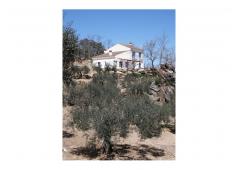 Villa in a 25,000 m2 plot with pool and 80 centenarian olive trees