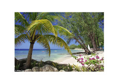 Amazing Caribbean Family Vacation