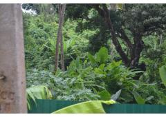 Land for Sale (Patong, Phuket)