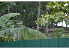 Land for Sale (Patong, Phuket)