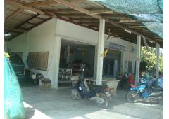 Home with Fruit Garden and Convenient Shop