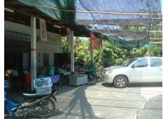 Home with Fruit Garden and Convenient Shop