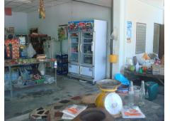 Home with Fruit Garden and Convenient Shop