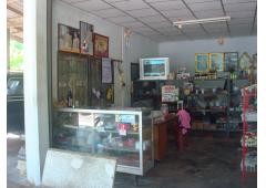 Home with Fruit Garden and Convenient Shop