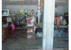 Home with Fruit Garden and Convenient Shop