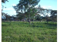 Los Nances
