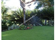 Executive Mansion For A Discriminating Buyer
