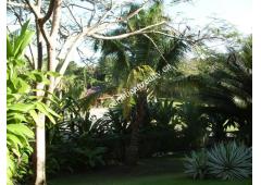 Executive Mansion For A Discriminating Buyer