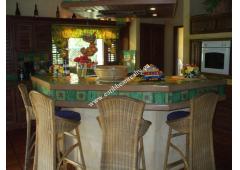 Executive Mansion For A Discriminating Buyer