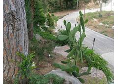 House near Barcelona