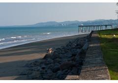 Titled Beach Front Home, 2 bedrooms, 2 bath