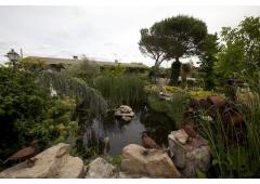 Hacienda Madrid, your estate between nature and culture