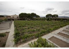 Hacienda Madrid, your estate between nature and culture