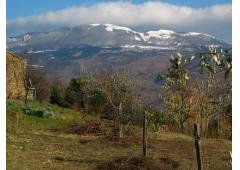 House on exclusive location for sale in central Istria, Croatia