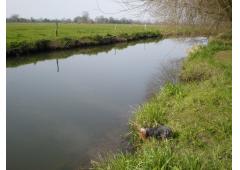 200' River Frontage with trout etc  - one acre site