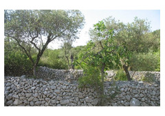 Seaside country biohouse close to Gaeta, Lazio, Central Italy
