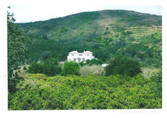 Large Villa with Pool in 23 Hectares Eastern Algarve